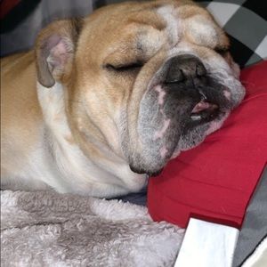 Meet your Posher, Maddie